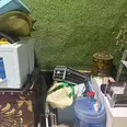 First Image