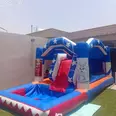الصورة الأولى