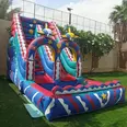 الصورة الأولى