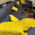 الصورة الأولى