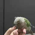 الصورة الأولى