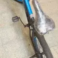 الصورة الأولى