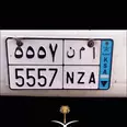 الصورة الأولى