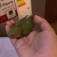 الصورة الأولى