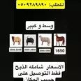 الصورة الأولى