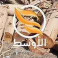 الصورة الأولى