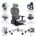 الصورة الأولى