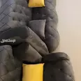 الصورة الأولى