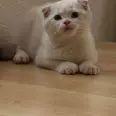 الصورة الأولى