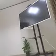 First Image