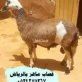 First Image