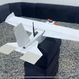 الصورة الأولى