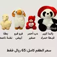 الصورة الأولى