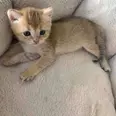 الصورة الأولى