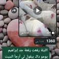 الصورة الأولى