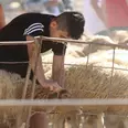 الصورة الأولى