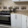 الصورة الأولى