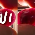 الصورة الأولى