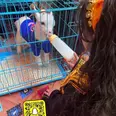 الصورة الأولى