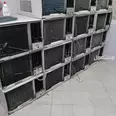 First Image