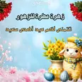 الصورة الأولى