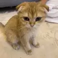 الصورة الأولى