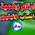 الصورة الأولى