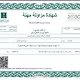 الصورة الأولى