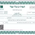 الصورة الأولى