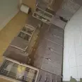 First Image