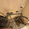 First Image