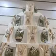 الصورة الأولى