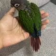 الصورة الأولى