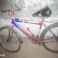 الصورة الأولى