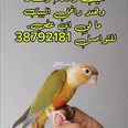 الصورة الأولى