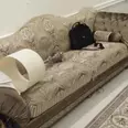 الصورة الأولى