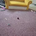 الصورة الأولى