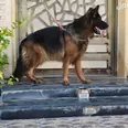 الصورة الأولى