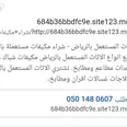 الصورة الأولى