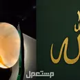 الصورة الأولى