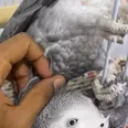 الصورة الأولى