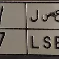 الصورة الأولى