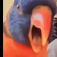 First Image