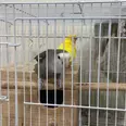 الصورة الأولى