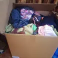 First Image
