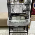 First Image