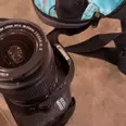 الصورة الأولى