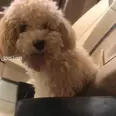 الصورة الأولى