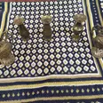 الصورة الأولى