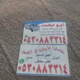 الصورة الأولى